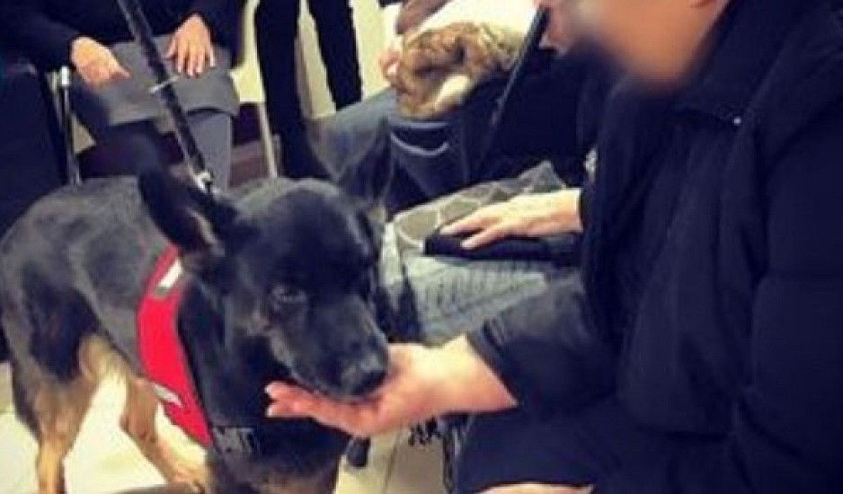 Ανάπηρος σκύλος έσωσε ένα νεογέννητο που το έθαψαν ζωντανό σε χωράφι