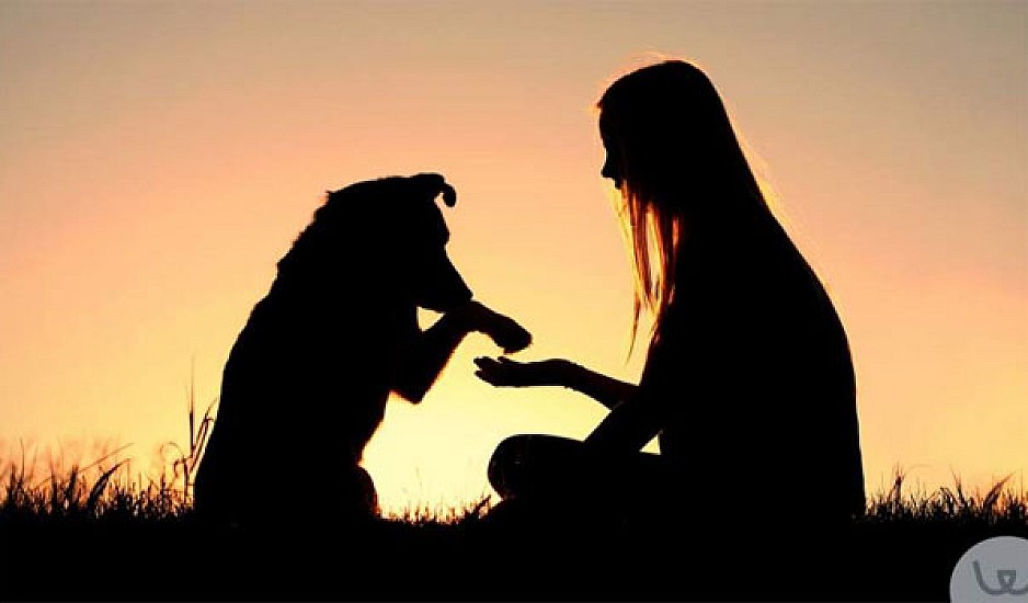 Παγκόσμια ημέρα ζώων: Μένεις μόνη; Πάρε σκύλο!