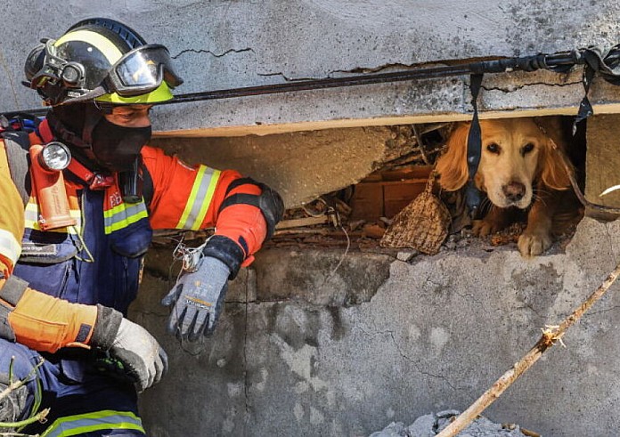 Τουρκία: Δυο σκυλάκια ανασύρθηκαν ζωντανά, πάνω από 200 ώρες μετά τον σεισμό
