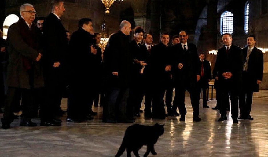 Η μαύρη γάτα που υποδέχθηκε τον Τσίπρα στην Αγία Σοφία!