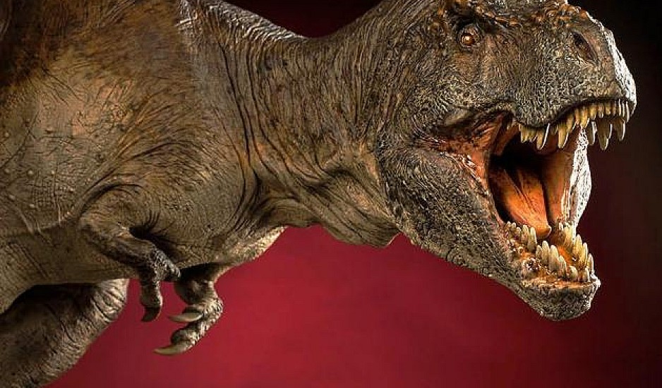 Βρέθηκε ο μεγαλύτερος τυραννόσαυρος στον κόσμο και είναι θηριώδης
