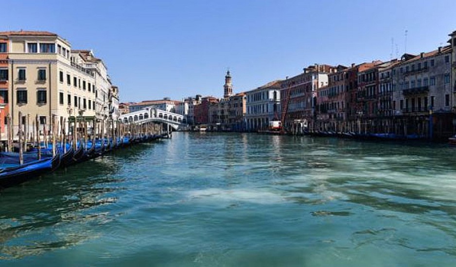 Απίστευτο: Τεράστιες μέδουσες στα κανάλια της Βενετίας