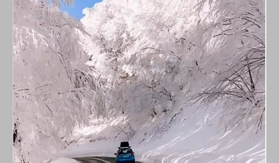 Αυτός ο παραμυθένιος χιονισμένος δρόμος είναι στην Ελλάδα – Έχει γίνει το απόλυτο viral