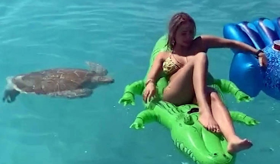 Γι αυτό δεν πρέπει να πειράζεις τις θαλάσσιες χελώνες