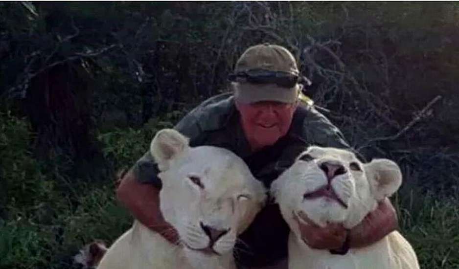 Τον σκότωσαν τα λιοντάρια του, την ώρα που τα έβγαζε βόλτα