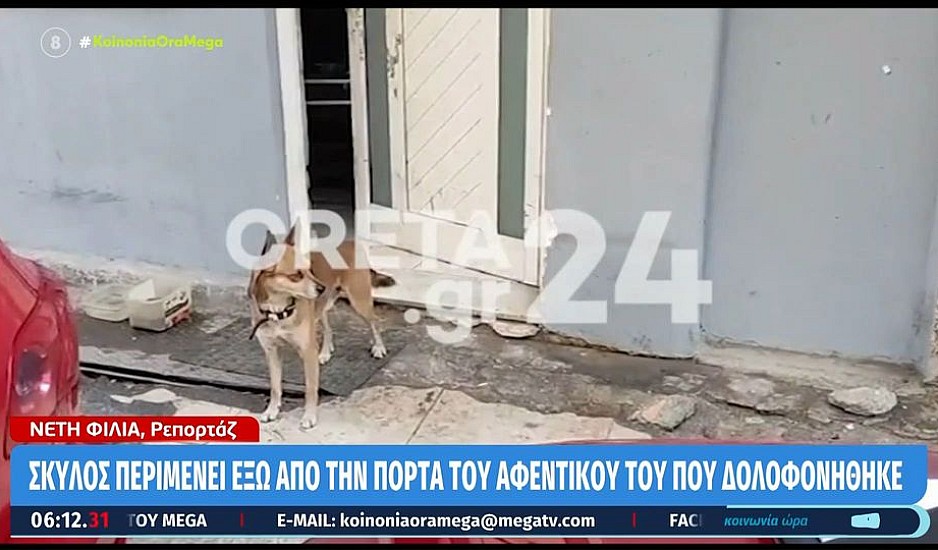 Χανιά: Σκύλος – Χάτσικο περιμένει το νεκρό αφεντικό του έξω από το σπίτι