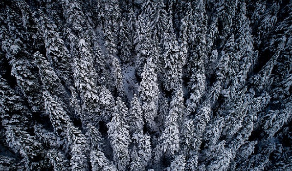Κακοκαιρία "Χιόνη": Νέα υποτροπή - Xιόνια στα ορεινά της Αττικής