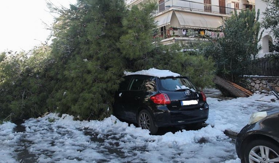 Δήμος Αθηναίων: Πως θα δοθουν αποζημιώσεις στους ιδιοκτήτες ΙΧ στα οποία έπεσαν δένδρα