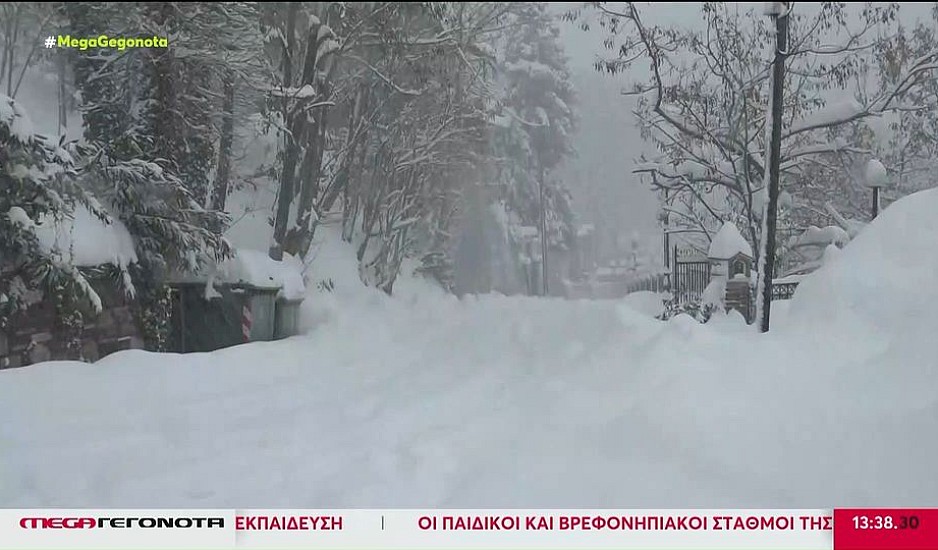 Χιόνια στην Εύβοια: 40 ορειβάτες εγκλωβίστηκαν στο καταφύγιο της Δίρφυς - Περπάτησαν με τα πόδια μέχρι τη Στενή