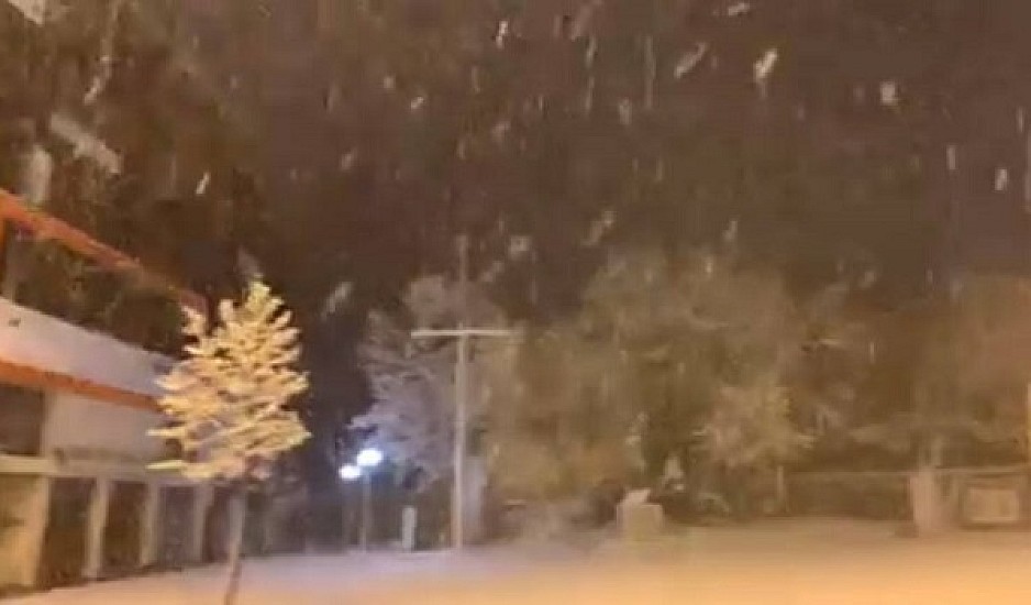 Χιονίζει στην Φλώρινα – Κλειστά τα σχολεία