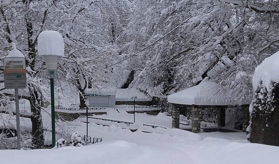 Σφοδρή χιονόπτωση στα Ιωάννινα. Κλειστά σχολεία και απαγόρευση κυκλοφορίας