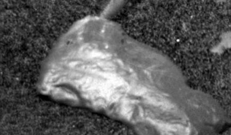 Μυστηριώδες αντικείμενο λάμπει σαν χρυσός στην επιφάνεια του Άρη