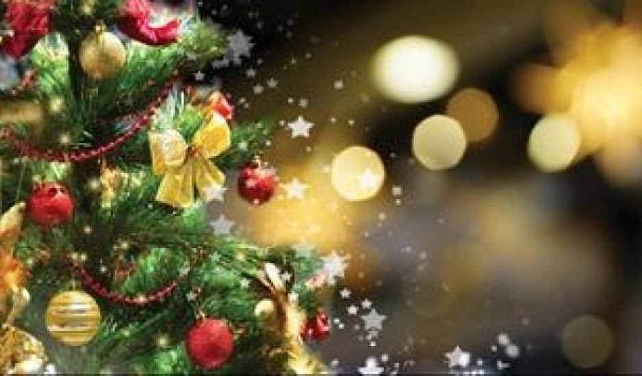 Χριστουγεννιάτικα δέντρα: Γιατί να προτιμήσετε αληθινό χριστουγεννιάτικο δέντρο και όχι πλαστικό