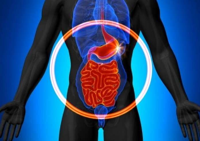 Καρκίνος του παχέος εντέρου: Το κοινό σνακ που μπορεί να μειώσει τον κίνδυνο