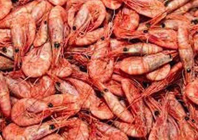 Ο πανεύκολος τρόπος να φτιάξεις λαχταριστές γαρίδες