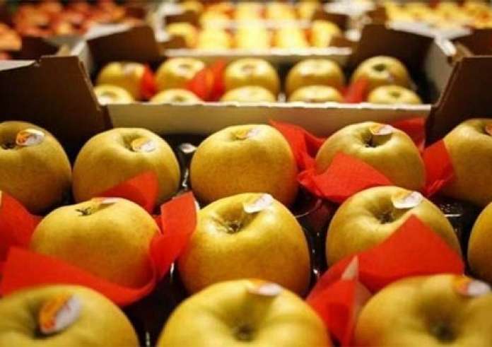 Σάντουιτς με καραμελωμένα μήλα και τσένταρ