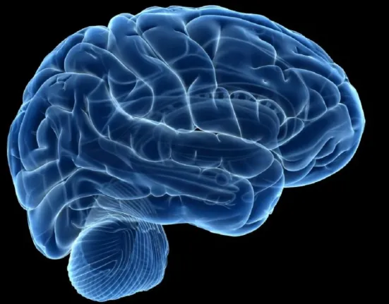 Πώς η υψηλή αρτηριακή πίεση επηρεάζει τον εγκέφαλο καθώς μεγαλώνουμε – Τι δείχνουν οι νέες επιστημονικές μελέτες