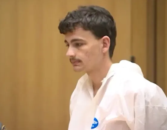 Κονέκτικατ: Σκότωσε τη μητέρα του με σφυρί και ούρλιαζε «μαμά» στο δάσος