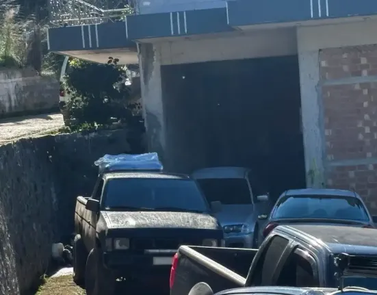 Αχαΐα: Συγκλονίζει ο θείος του 3χρονου – Η ομολογία για το δυστύχημα με τη γουρούνα