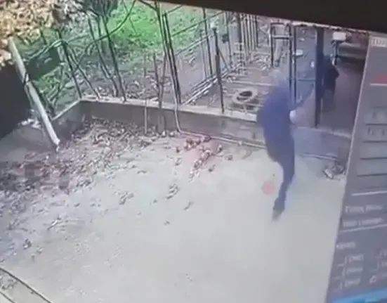 Αλίμονο εάν κάθε ροτβάιλερ που πήγαινες να το ακουμπήσεις σε δάγκωνε