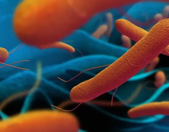 Το αρχαίο βακτήριο του τυφοειδούς πυρετού γίνεται ανθεκτικό στα αντιβιοτικά – Σοβαρή προειδοποίηση