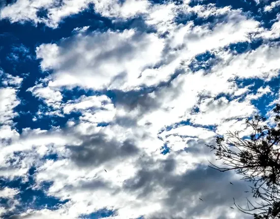 Ο Δεκέμβριος ξεκινά με ανοιξιάτικο καιρό – Ήλιος, ομίχλες και θερμοκρασίες έως 21°C