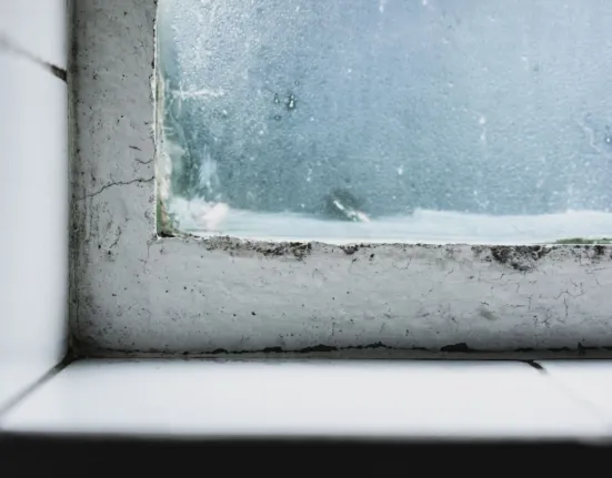 Πώς να εξαφανίσεις τη μούχλα από τα παράθυρα: 2 εύκολα κόλπα