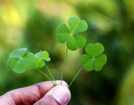 Φεβρουάριος 2026: Η πιο τυχερή μέρα για κάθε ζώδιο – Ο μήνας των μεγάλων ανατροπών