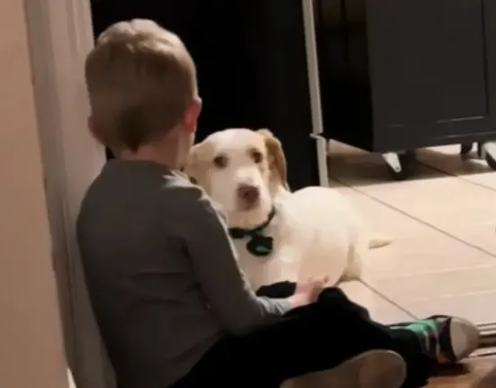 «Μην φύγεις… συμφωνείς;»: Το συγκινητικό βίντεο με την «κουβέντα» 3χρονου και του σκύλου του