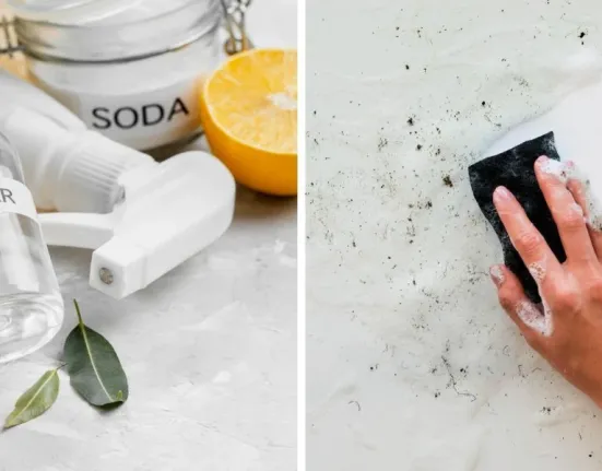 Πώς να διώξετε τη μούχλα και την υγρασία οριστικά