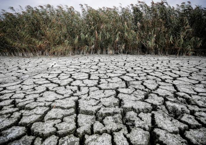 Ξηρασία: Απειλεί την Ελλάδα – Ποιες περιοχές κινδυνεύουν με ερημοποίηση