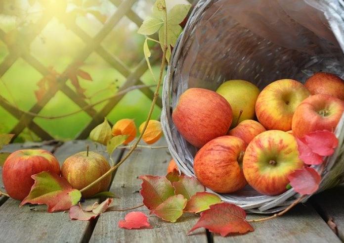 Κόκκινα vs πράσινα μήλα: Οι διαφορές, η διατροφική αξία και τα οφέλη – Ποιo είδος είναι πιο υγιεινό