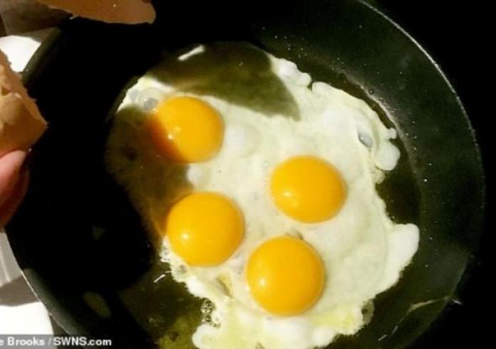 Βρήκαν αυγό με 4 κρόκους. Μια στα 11 δισεκατομμύρια οι πιθανότητες να συμβεί