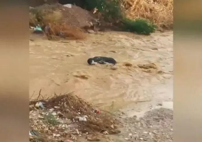 Βίντεο σοκ από το Μενίδι: Άνδρας παρασύρεται από το ρέμα Εσχατιάς