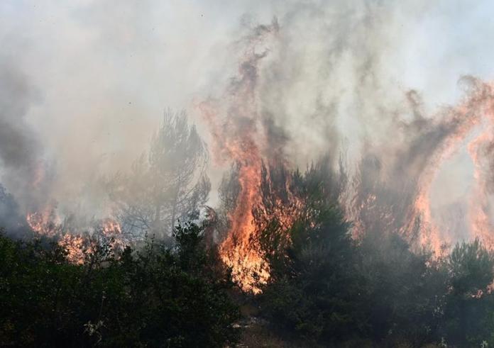 Κάρυστος: Φτάνουν τα 20 μέτρα οι φλόγες στα μέτωπα της πυρκαγιάς – Έκκληση του δημάρχου για εναέρια μέσα