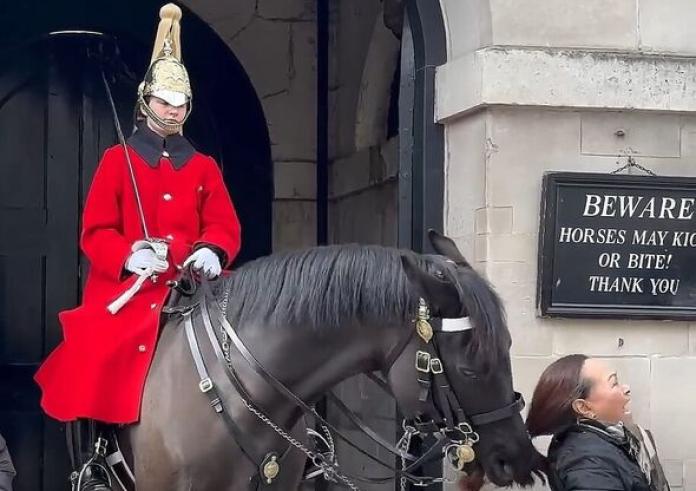  Άλογο της βασιλικής φρουράς στη Βρετανία δάγκωσε την κοτσίδα τουρίστριας - Viral το βίντεο
