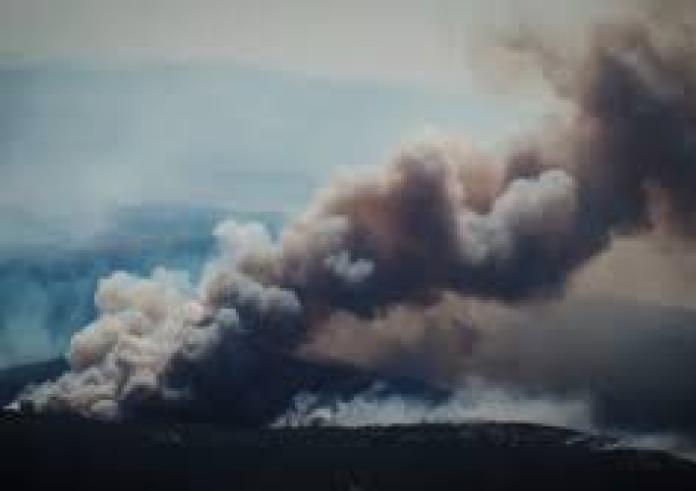 Φωτιά στην Πάρνηθα: Βίντεο ντοκουμέντο δείχνει πώς οι εμπρηστές έκαψαν τον πνεύμονα της Αττικής