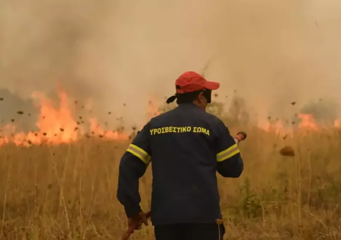 Φωτιά στον Έβρο: Μαίνεται η πυρκαγιά 6 ενεργά μέτωπα