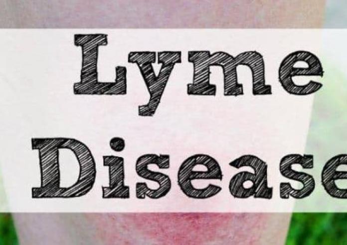 Τι είναι η νόσος Lyme: Τα ύποπτα συμπτώματα - Πώς αντιμετωπίζεται