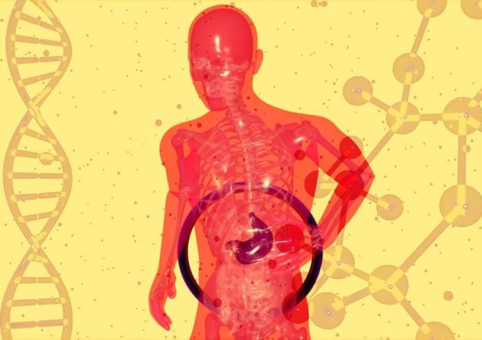 Πολύποδες στο έντερο: 7 συμπτώματα που πρέπει να γνωρίζετε για να προλάβετε τον καρκίνο