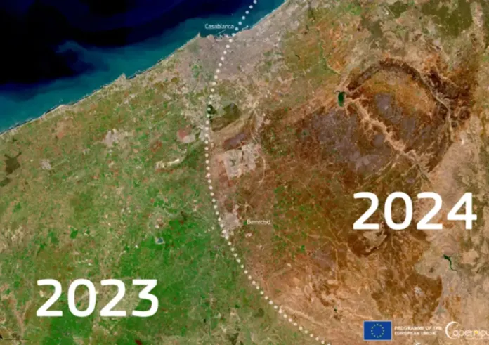 Ο καύσωνας και η παρατεταμένη ξηρασία απειλούν την Μεσόγειο - Οι προβλέψεις για την άνοιξη