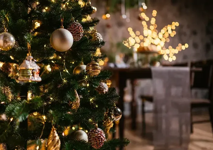 Άφησε τη δουλειά της ως δασκάλα για να στολίζει χριστουγεννιάτικα δέντρα έναντι 1.000 ευρώ το ένα