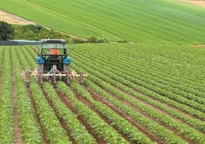 ΑΑΔΕ: Σε λειτουργία η πλατφόρμα για την επιστροφή ΦΠΑ στους αγρότες ειδικού καθεστώτος