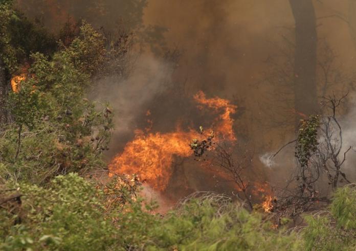 Κύπρος: Μεγάλη φωτιά στην Πάφο – Εκκενώθηκε οικισμός