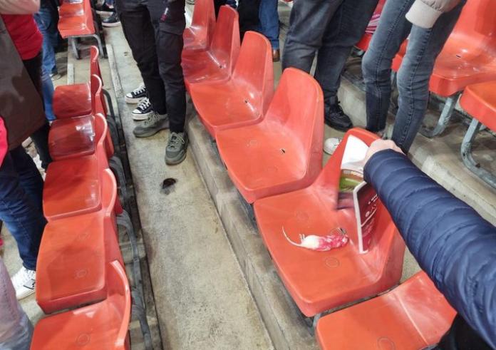 Η κατάσταση ξέφυγε σε ποδοσφαιρικό ντέρμπι: Οπαδοί πέταξαν νεκρά ποντίκια στους αντιπάλους τους