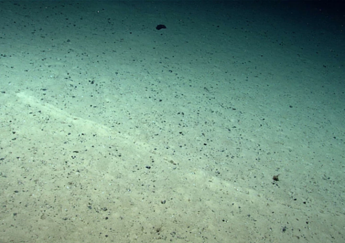 Mυστηριώδεις τρύπες βρέθηκαν στον πάτο του ωκεανού και προβληματίζουν τους επιστήμονες