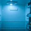 Γιατί η κατανάλωση υγιεινών τροφών είναι σημαντική