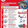 Βάρκιζα: Λαγοκέφαλος επιτέθηκε σε γυναίκα που κολυμπούσε και της έκοψε κομμάτι από τη γάμπα