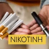 Παρασκευή Κατσαούνου: «Η νικοτίνη είναι πιο εθιστική ακόμη και από την κοκαΐνη»