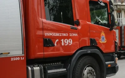 Μαγνησία: Φωτιά σε εργοστάσιο στη ΒΙ.ΠΕ. Βελεστίνου – Προειδοποίηση για τοξικούς καπνούς